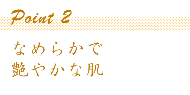 ポイント2なめらかで艶やかな肌