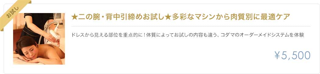 二の腕・背中引締めお試し、多彩なマシンから肉質別に最適ケア。5500円