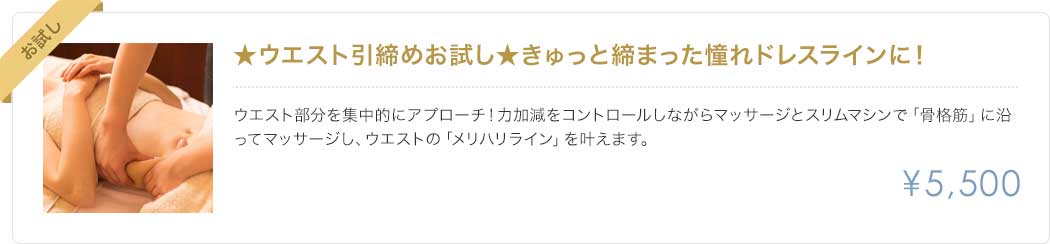 ウェスト引締めお試し、キュッとしまった憧れドレスラインに！5500円