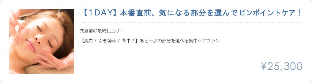 ワンデイ本番直前、気になる部分を選んでピンポイントケア25300円